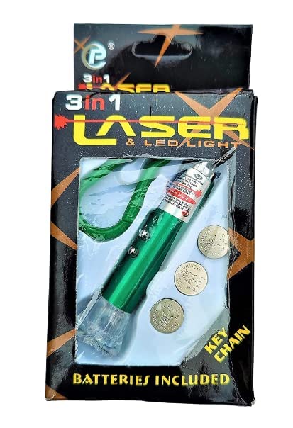DT Science House Keychain Laser Light with LED Flash Torch and Laser pointer and 3 Button Cell Battery 3Mode Switch 