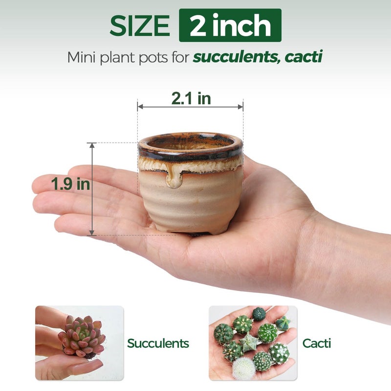 T4U Mini Ceramic Succulent Pots with Drainage - Set of 6, Tiny Pots for Plants, Home and Office Decor, Plant Lover Gifts for Women - Image 3