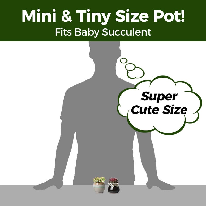 T4U Mini Ceramic Succulent Pots with Drainage - Set of 6, Tiny Pots for Plants, Home and Office Decor, Plant Lover Gifts for Women - Image 2