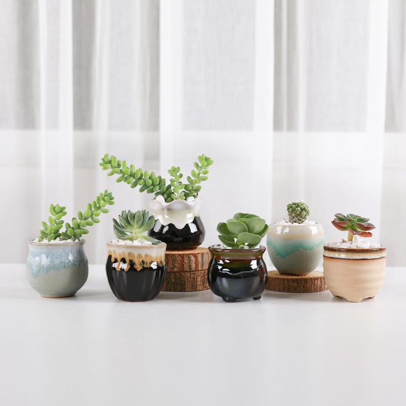 T4U Mini Ceramic Succulent Pots with Drainage - Set of 6, Tiny Pots for Plants, Home and Office Decor, Plant Lover Gifts for Women - Image 4