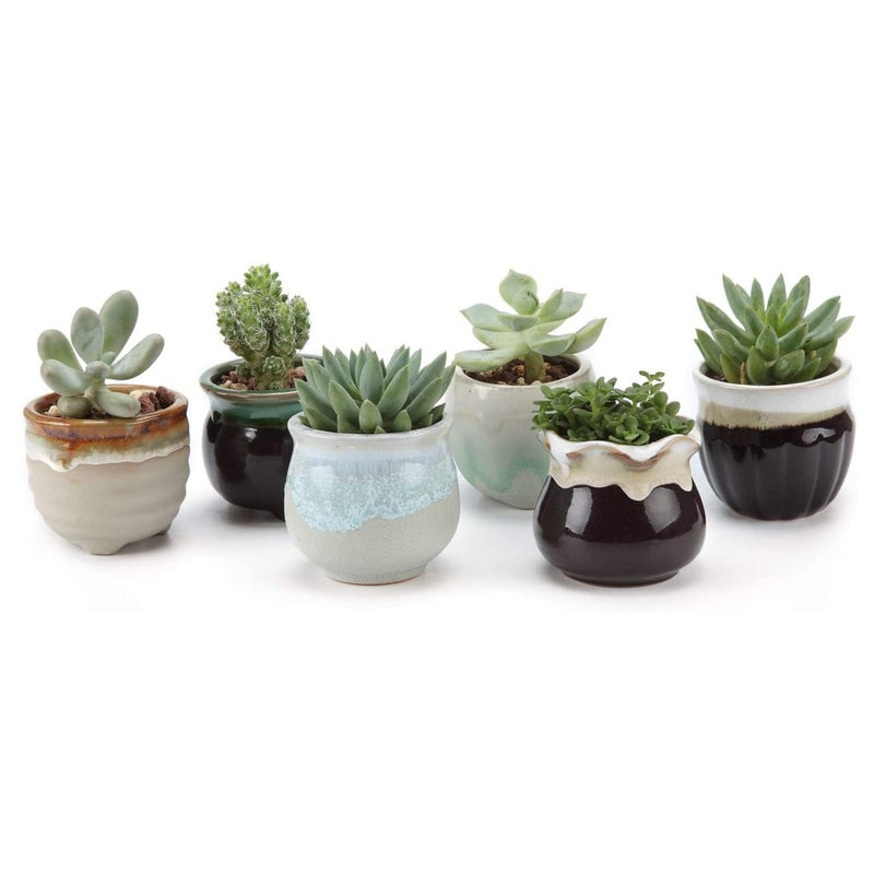 T4U Mini Ceramic Succulent Pots with Drainage - Set of 6, Tiny Pots for Plants, Home and Office Decor, Plant Lover Gifts for Women - Image 1