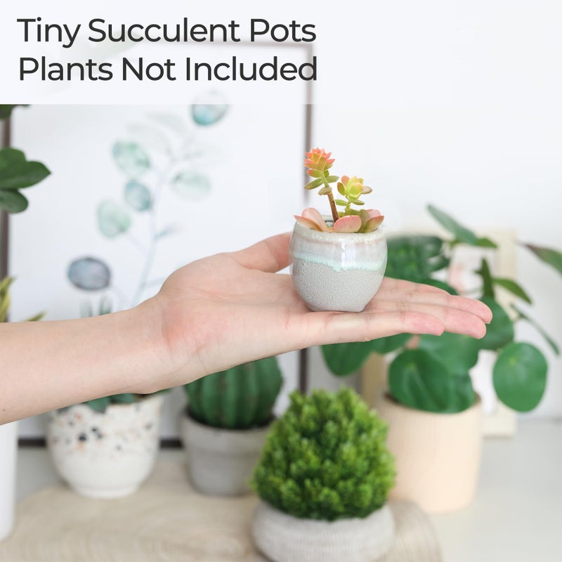 T4U Mini Ceramic Succulent Pots with Drainage - Set of 6, Tiny Pots for Plants, Home and Office Decor, Plant Lover Gifts for Women - Image 5