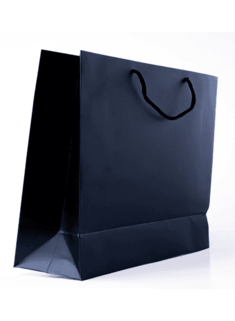 45x13x33cm Rope Handled Black Plain Paper Bags - Spacious Eco-Friendly Shopping and Gift Bags 