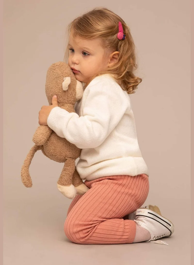 DeFacto BabyGirl Bike Neck Long Sleeve Tricot Pullover
