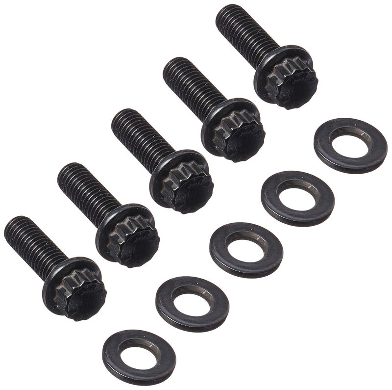 Bolt, 8 mm x 1.25 Thread, 25 mm Long, 10 mm 12 Point Head, Chromoly, Black Oxide, Universal, Set of 5