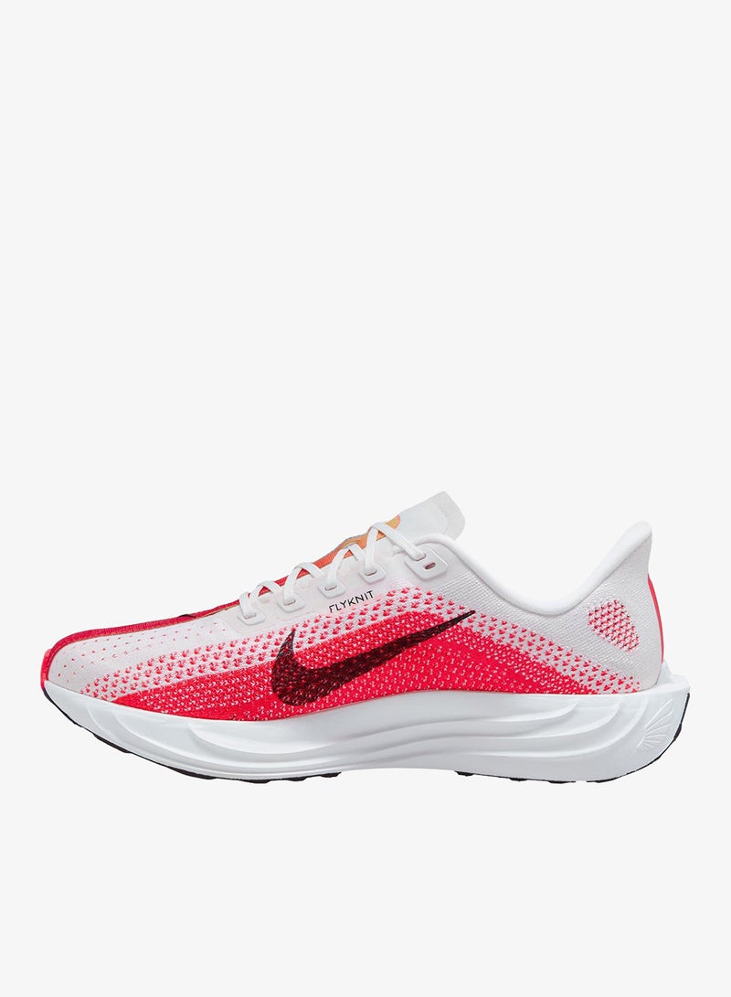 Nike Pegasus Plus - Image 1