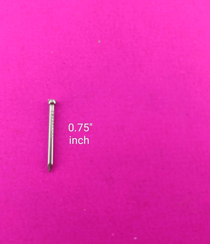 Advancedestore Best Strong Medium Size Hardware Keel – 0.75 Inch Iron Wall Nails – 100 Pcs | Rustproof, Bent-Proof Shining Nails for Hanging Photo Frames, Pictures, DIY Craft, Home & Office Use - Image 2