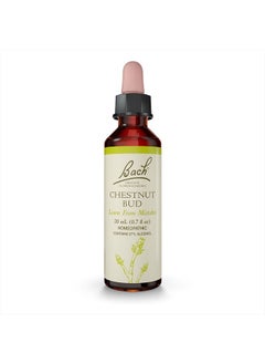 Original Flower Remedies, Chestnut Bud for Learning from Mistakes, Natural Homeopathic Flower Essence, Holistic Wellness and Stress Relief, Vegan, 20mL Dropper