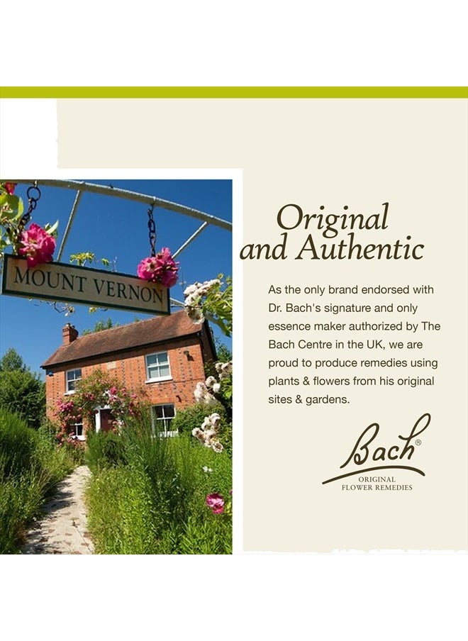 Bach - Original Flower Remedies, Chestnut Bud for Learning from Mistakes, Natural Homeopathic Flower Essence, Holistic Wellness and Stress Relief, Vegan, 20mL Dropper - Image 1