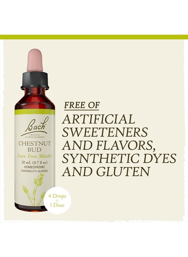 Bach - Original Flower Remedies, Chestnut Bud for Learning from Mistakes, Natural Homeopathic Flower Essence, Holistic Wellness and Stress Relief, Vegan, 20mL Dropper - Image 1