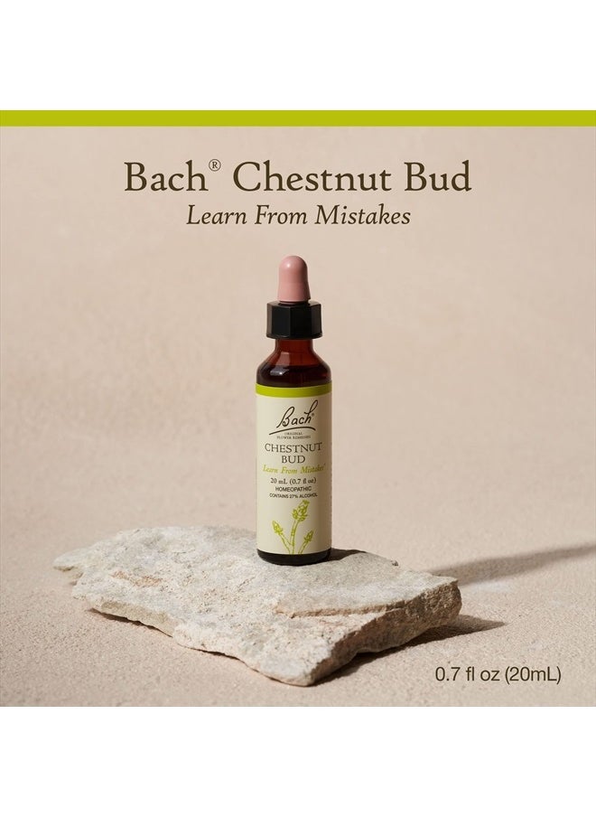 Bach - Original Flower Remedies, Chestnut Bud for Learning from Mistakes, Natural Homeopathic Flower Essence, Holistic Wellness and Stress Relief, Vegan, 20mL Dropper - Image 1
