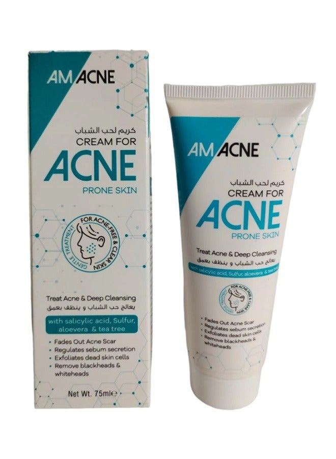 اي ام أكني Acne cream 75 ml - Image 1