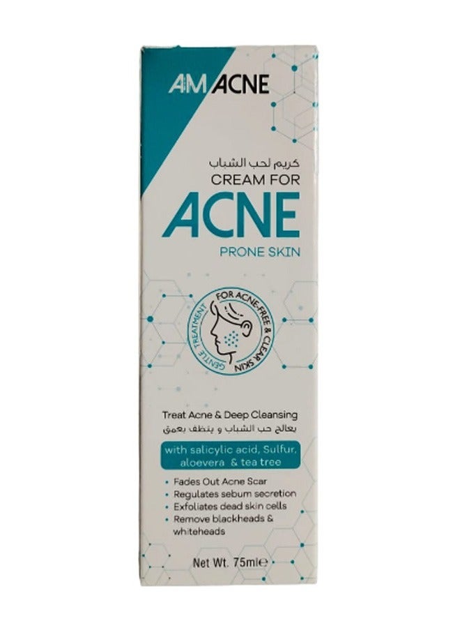 اي ام أكني Acne cream 75 ml - Image 2