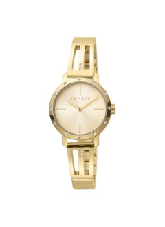 Esprit Stainless Steel Analog Women's Bracelet Watch With Stainless Steel Gold ES1L182M0055 - pzsku/Z3FA558BCB7039440A0C7Z/45/_/1719229039/9e581448-ff78-4639-8de8-b07e8e427e94