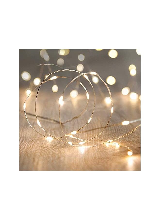 The Bros LED Fairy String Lights,10Ft/3M 30leds Firefly String Lights Garden Home Party Wedding Festival Decorations Crafting Battery Operated Lights(Warm White)  - Image 2