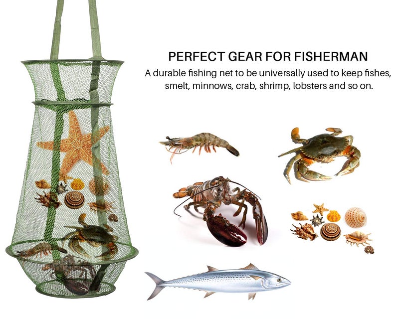 Mouhike Fishing Net Mesh Fish Trap Collapsible Fish Cage/Fishing Keep Net/Fishing Basket for Keeping Lures Crayfish Crab Fishes Smelt Minnows Shrimps Lobsters, Foldable Nylon Green Fishing Net - Image 3