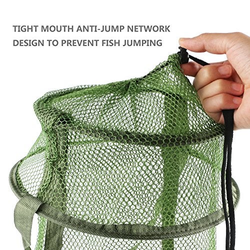 Mouhike Fishing Net Mesh Fish Trap Collapsible Fish Cage/Fishing Keep Net/Fishing Basket for Keeping Lures Crayfish Crab Fishes Smelt Minnows Shrimps Lobsters, Foldable Nylon Green Fishing Net - Image 5