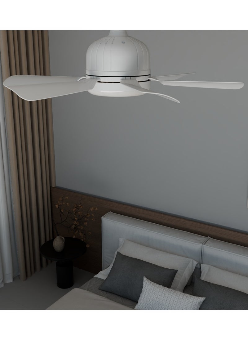 Ayeeb - Portable Ceiling Fan with Light 40W LED Flower Lamp Bulb 3CCT Dimmable, E27 Screw Easy Mount, Colorful Detachable 6 Blades 85V-265V World Travel Use,Smart Remote Control & Wall Switch 3 Wind Speed, 2H/4H Timing - Image 1