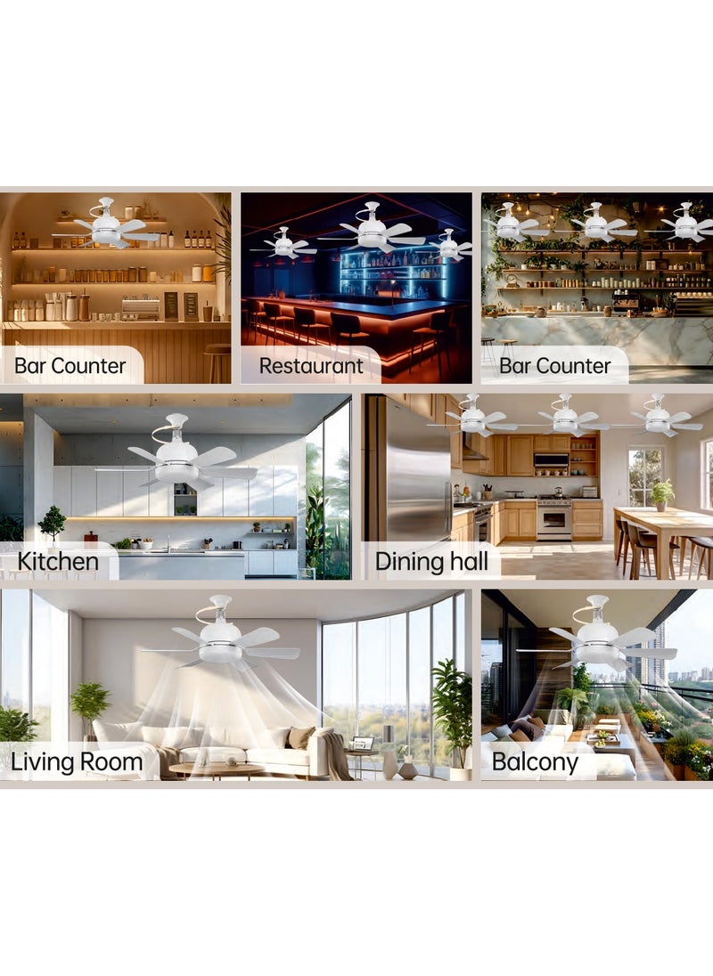 Ayeeb - Portable Ceiling Fan with Light 40W LED Flower Lamp Bulb 3CCT Dimmable, E27 Screw Easy Mount, Colorful Detachable 6 Blades 85V-265V World Travel Use,Smart Remote Control & Wall Switch 3 Wind Speed, 2H/4H Timing - Image 1
