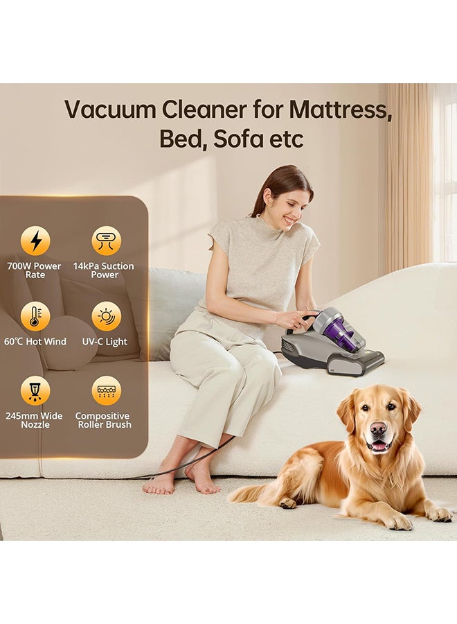 Jimmy JV35 Mattress Vacuum Cleaner, Anti-allergen Bed Vacuum Cleaner with UV-C Light & High Heating Tech, 14Kpa Suction 700W Powerful Handheld Vacuums for Dust & Pet Hair 500 ml 700 W JV35 Silver/Purple - Image 2
