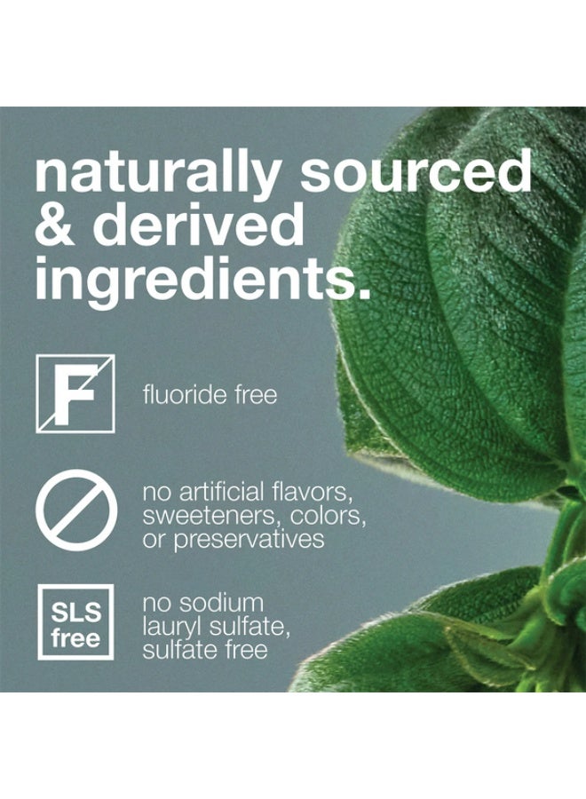 Davids Premium Toothpaste Whitening Antiplaque fresh breath / Natural Herbal Citrus Mint 149G - Image 3