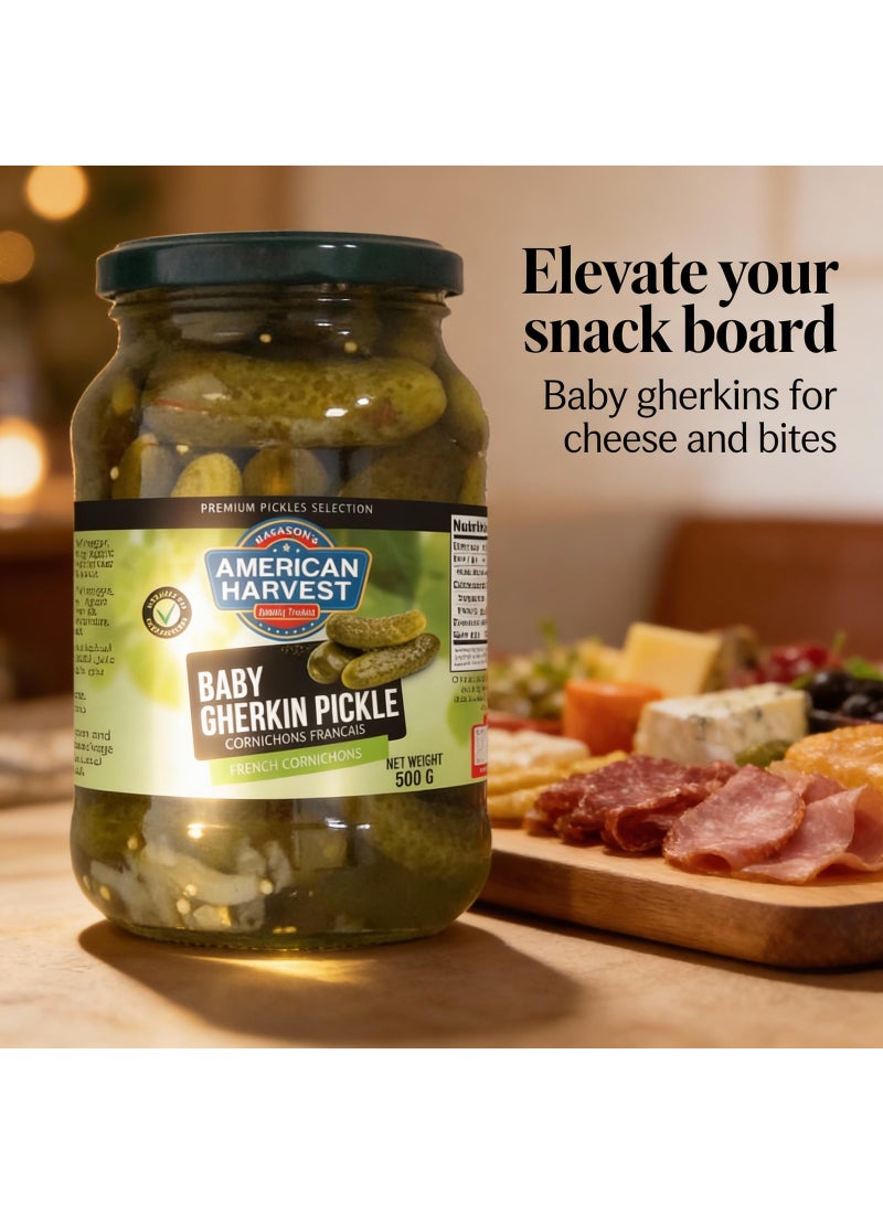 American Harvest Baby Gherkins Pickle - Image 5