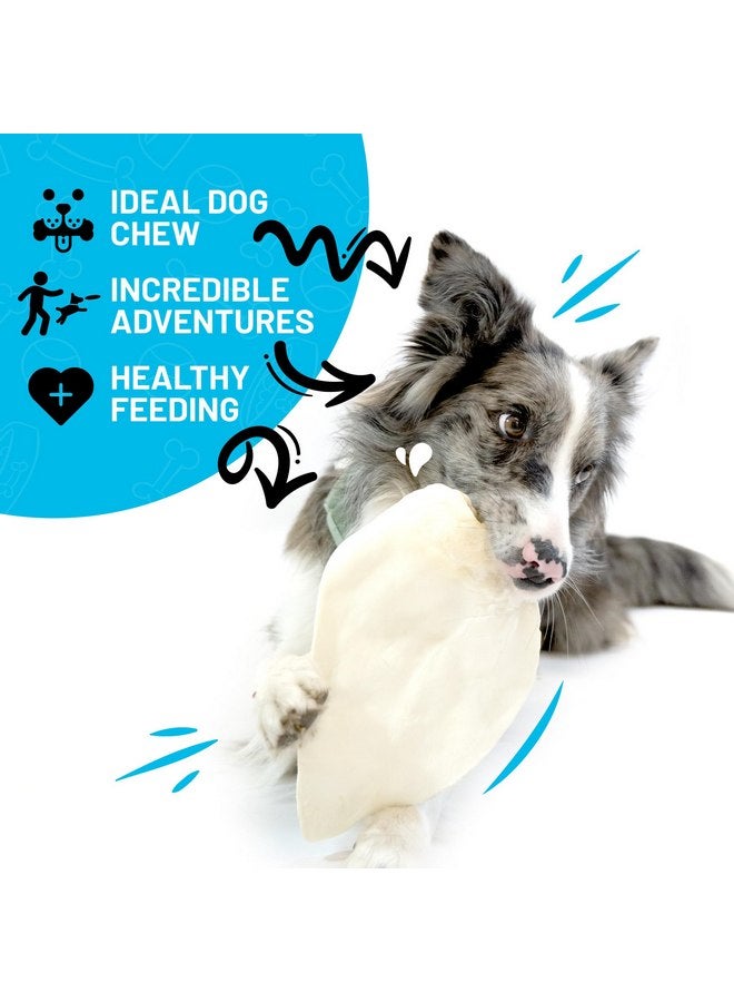 Sitka Farms Whole Cow Ears for Dogs 5 Count - Premium Rawhide Free Dog Chews - Beef Natural Dog Treats for Smal, Medium and Large Dogs - Long Lasting - Rich Protein for Your Pet - Image 4