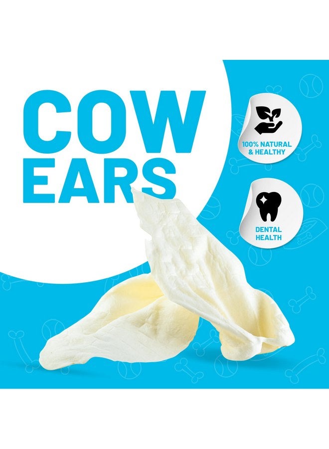 Sitka Farms Whole Cow Ears for Dogs 5 Count - Premium Rawhide Free Dog Chews - Beef Natural Dog Treats for Smal, Medium and Large Dogs - Long Lasting - Rich Protein for Your Pet - Image 2