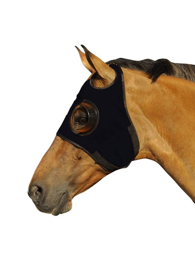 غطاء وامض من شركة Intrepid International لا يمكن رؤية الربع الخلفي من الكأس باللون الأسود، أسود