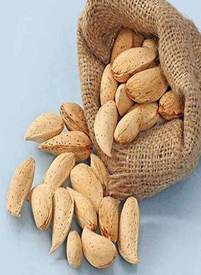 Nutzy Premium Almonds (Sitarbi almonds, 1000g) - Image 3