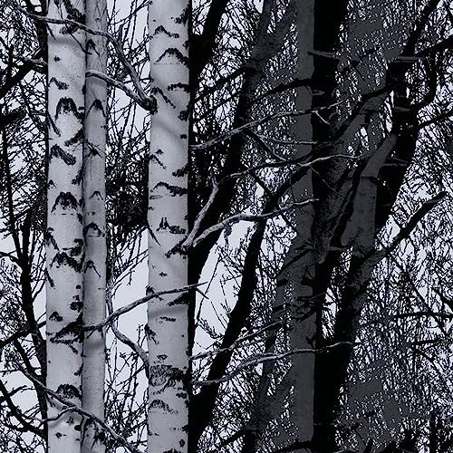 d-c-fix 346-0611 Decorative Self-Adhesive Film, Birch Wood, 17" x 78" Roll - Image 1