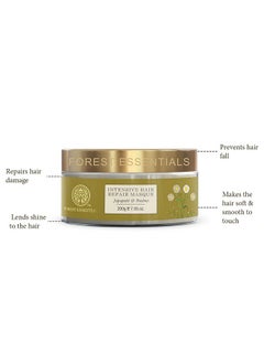 Forest Essentials Intensive Hair Repair Masque Fresh Japapatti & Brahmi | Ayurvedic Hair Mask For Frizzy And Dry Hair | Deeply Nourishing Hair Mask,1 Count  - Image 3