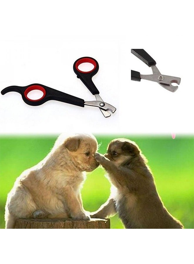 Pet Dog Grooming Scissors Sharp Nail Clipper Small Dog Scissors Claw Cutter Trimmer Bird Gerbil Rabbit Ferret - Image 3
