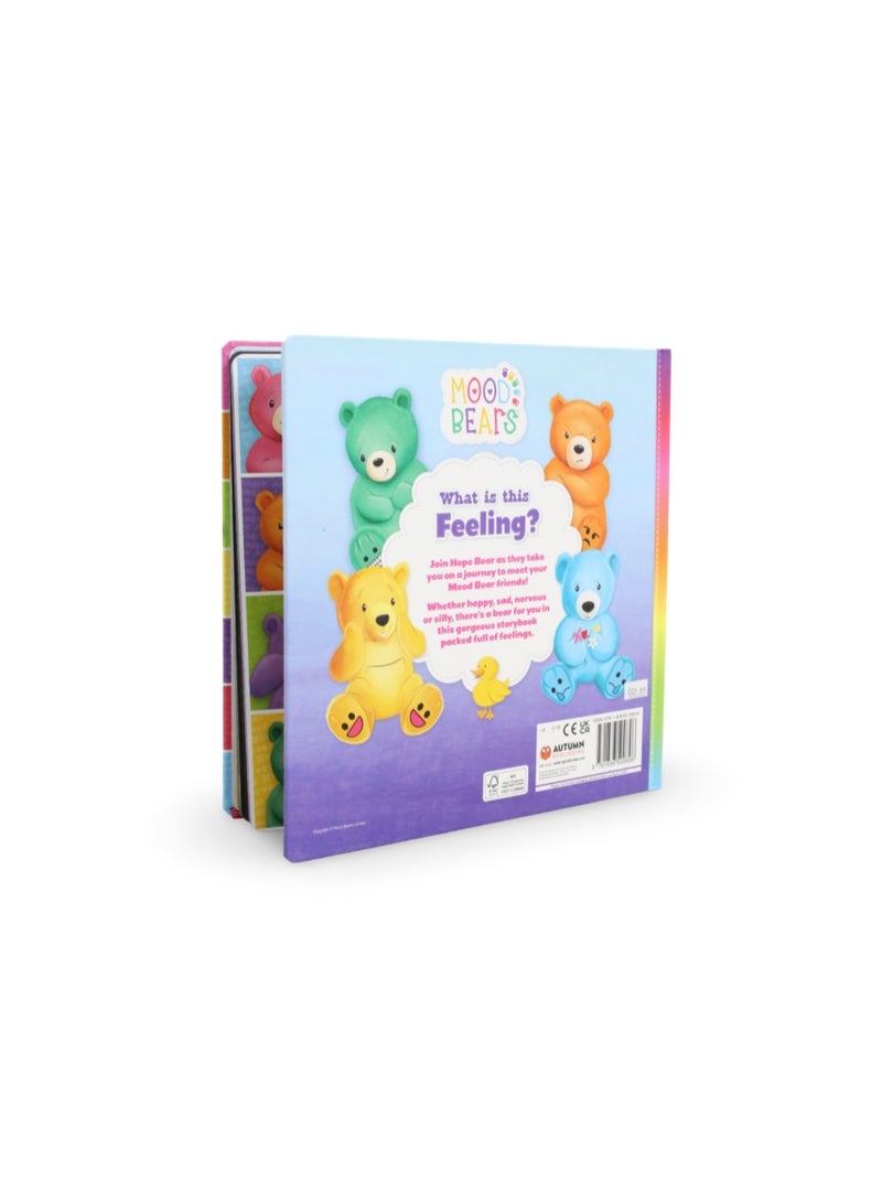 Igloo Books "Mood Bears: What is this Feeling?" Board Book - Image 3