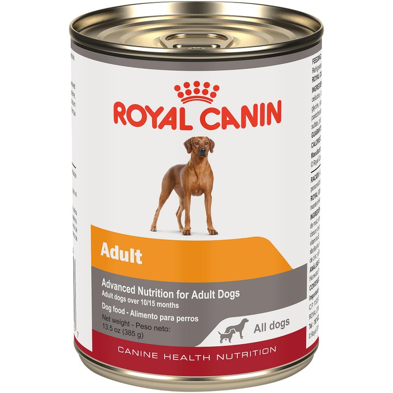 Royal Canin Canine Health Nutrition Adult In Gel Dog Food, 13.5 oz (Pack of 12) - Image 1