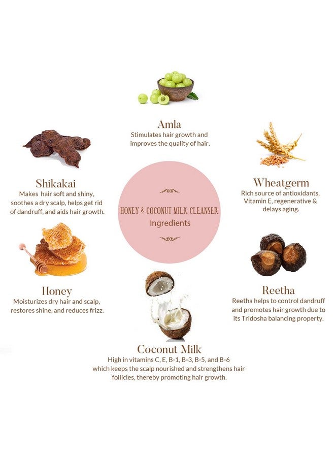 OHRIA Ayurveda Honey And Coconut Milk Hair Cleanser Sulphate Free Paraben Free & Silicon Free 50Ml - Image 4
