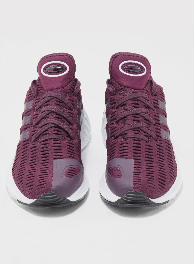 adidas Originals Climacool 02/17 W