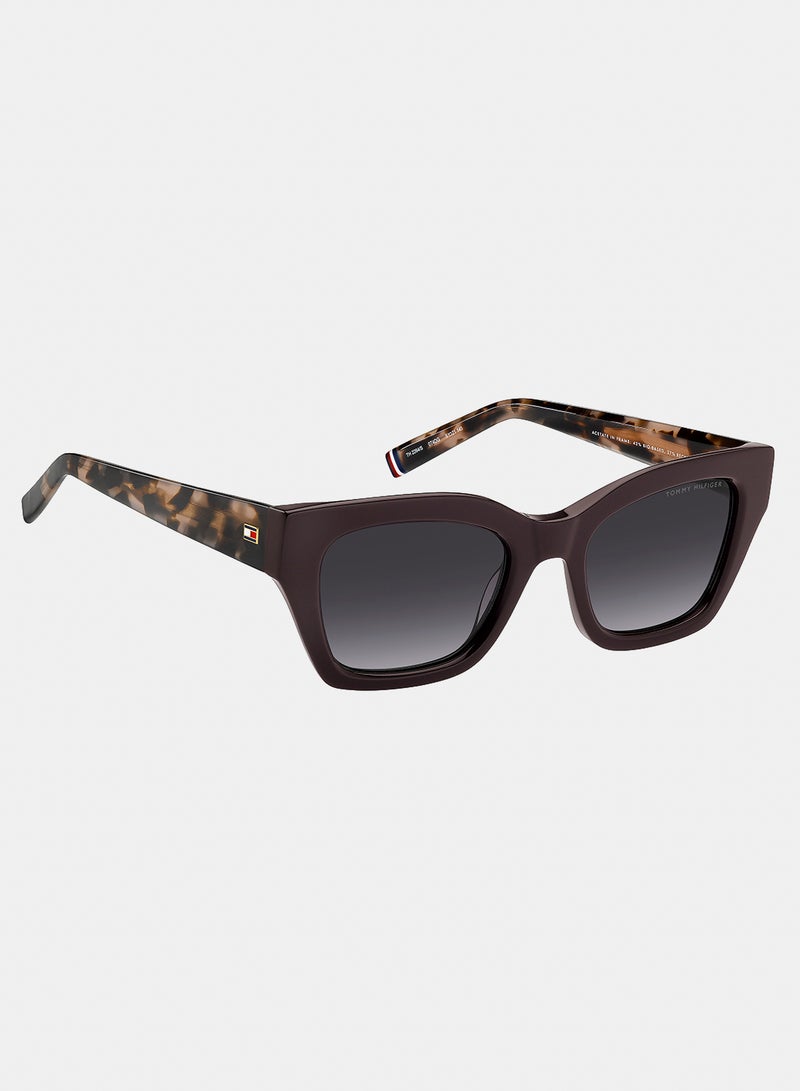 TOMMY HILFIGER Women Cat Eye Sunglasses - 51 TH 2264/S - Image 2