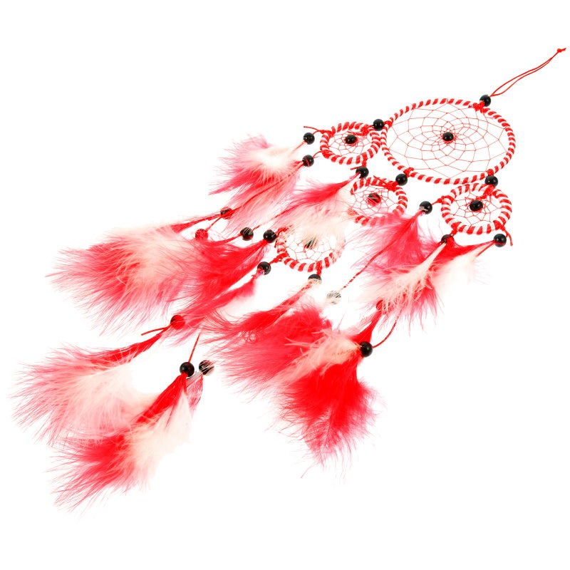 Plume Household Wall Hanging Ornament Home Decor - Image 5
