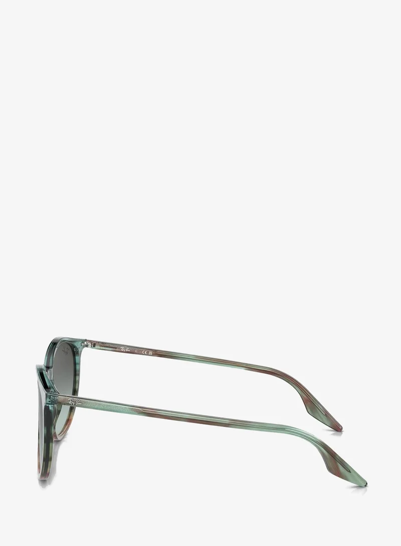 Ray-ban  0Rb2204 Round Sunglasses  | Best Price UAE