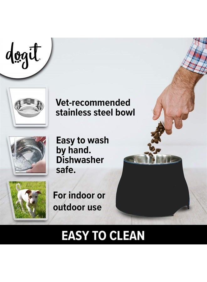 Elevated Dog Bowl, Stainless Steel Dog Food and Water Bowl for Small Dogs, Black, 73744