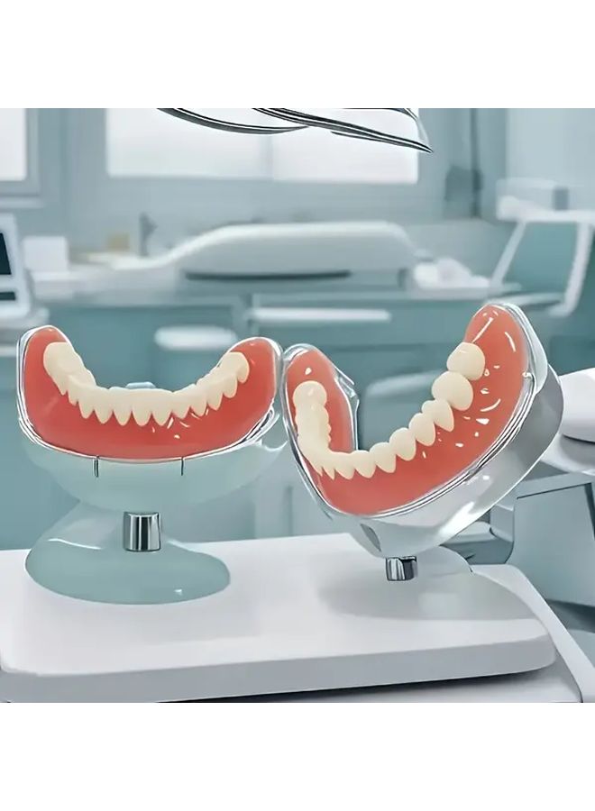 Complete 3 Piece Denture Set Pretty Teeth Color for Comfortable Daily Wear - Image 5