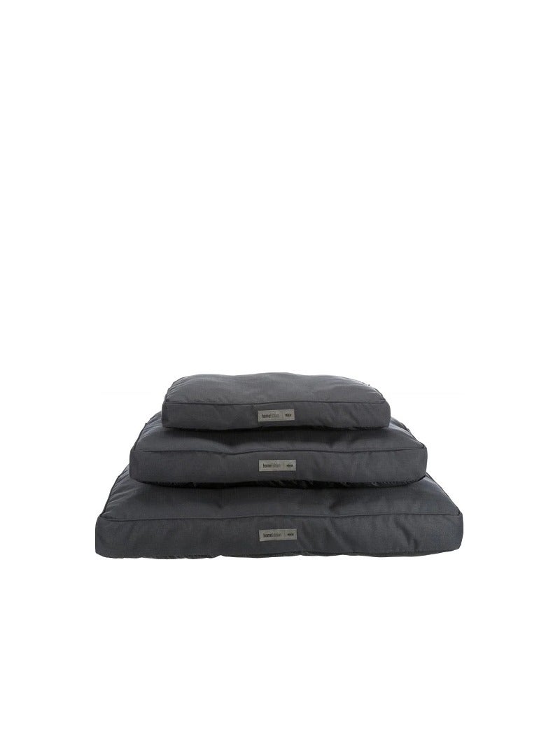 تريكسي فاريلووشن جراي - Image 3