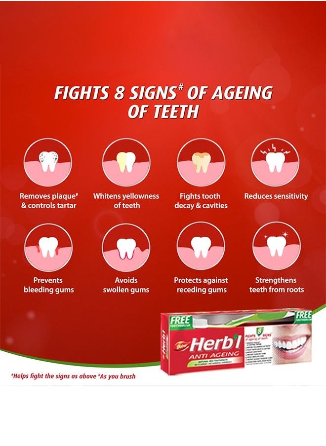 Dabur - Dabur Herbal Anti-Ageing Natural Red Toothpaste | Enriched With Calcium, Ginger & Red Ochre Tree | For Healthy Gums & Strong Teeth - 150g + Toothbrush - Image 1