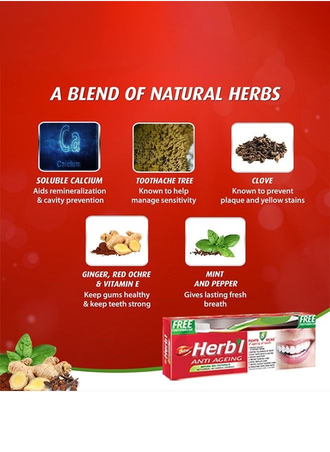 Dabur - Dabur Herbal Anti-Ageing Natural Red Toothpaste | Enriched With Calcium, Ginger & Red Ochre Tree | For Healthy Gums & Strong Teeth - 150g + Toothbrush - Image 1