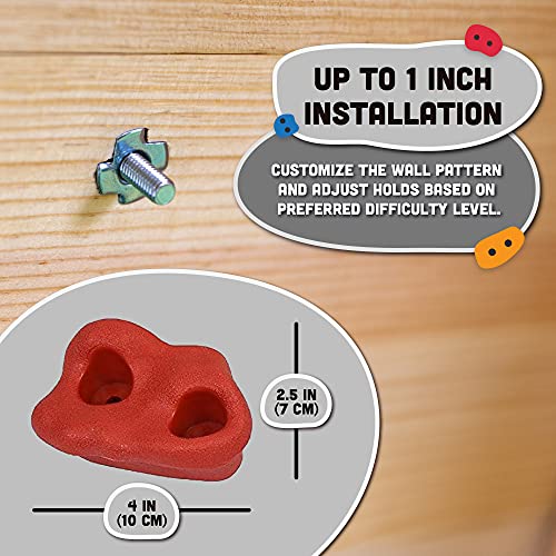 Squirrel Products Kids Rock Climbing Holds with Safety Rock Plugs to Protect Little Fingers - 10 Pack - Includes Hardware for 1" Installation - Image 5