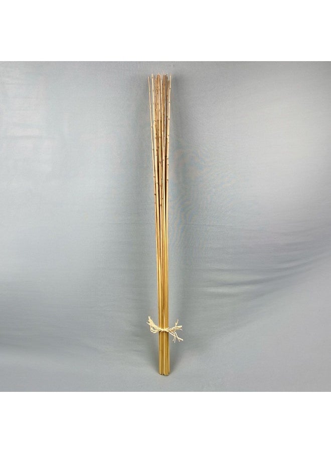 DANUBE HOME Danube Home Fleur Reed Stem Natural - 120Cm Preserved Flower Decorations For Home Decor Collection Elegant Brown Dried Flowers Timeless Floral Bouquet Decorative Home Accessories 