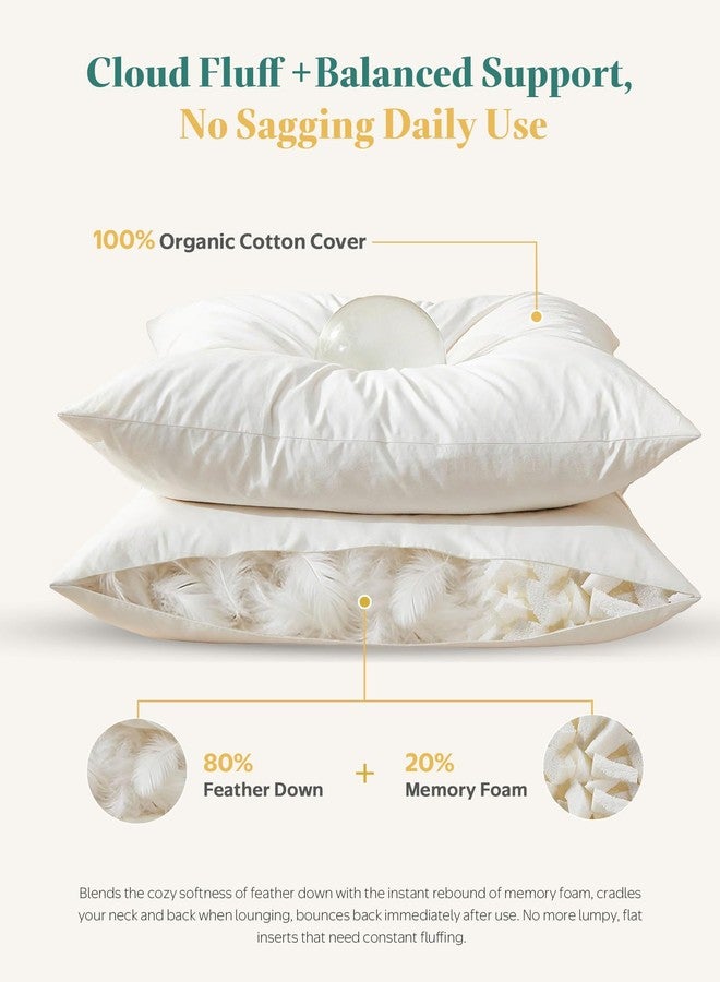 APSMILE Organic Cotton Goose Feather Down Plus Euro Throw Pillow Inserts, 28x28 Inch Set of 2, Soft Supportive Large Square Decorative Pillow Forms for Couch, Sofa, Bed - Image 5