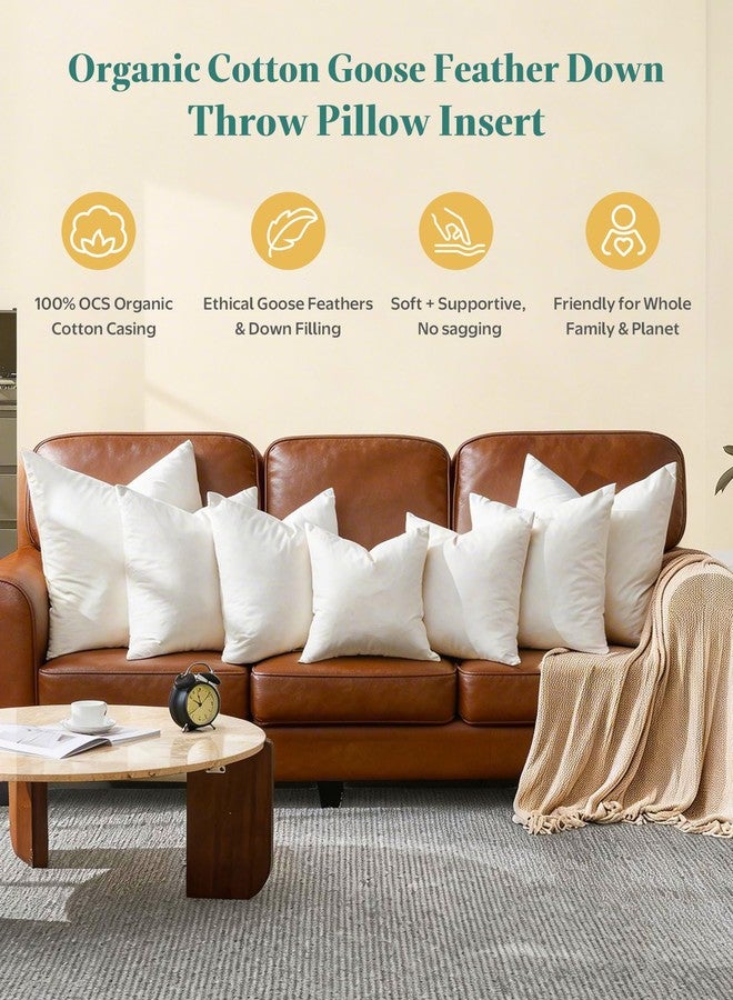 APSMILE Organic Cotton Goose Feather Down Plus Euro Throw Pillow Inserts, 28x28 Inch Set of 2, Soft Supportive Large Square Decorative Pillow Forms for Couch, Sofa, Bed - Image 2