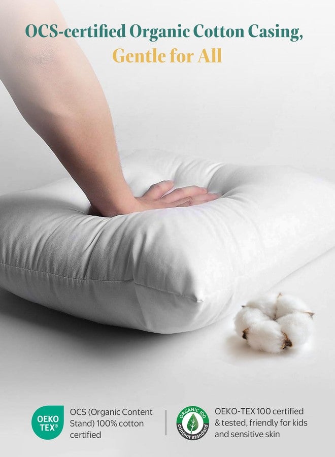 APSMILE Organic Cotton Goose Feather Down Plus Euro Throw Pillow Inserts, 28x28 Inch Set of 2, Soft Supportive Large Square Decorative Pillow Forms for Couch, Sofa, Bed - Image 3